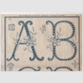 刺フランスのしゅう柄の切り離し又はギフトラップ 薄葉紙 (正面)