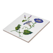 刺繍された青い朝の栄光 タイル (側面)