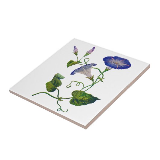 刺繍された青い朝の栄光 タイル (側面)