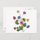 刺繍のカラフルなウッドソレル ポストカード (正面/裏面)