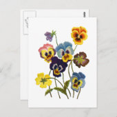 刺繍のパンジー・パレード ポストカード (正面/裏面)