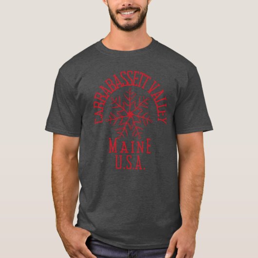 刺繍スノーフレークラバスセットメインUSA赤 Tシャツ (正面)