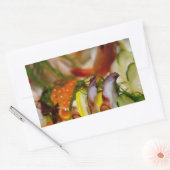 刺身さけ魚の魚介類日本の 長方形シール (封筒)