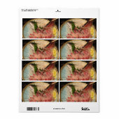 刺身刺身 ラベル (フルシート)