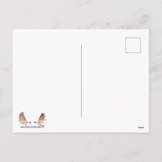 刻まれた大西洋のパフィン シーズンポストカード (裏面)