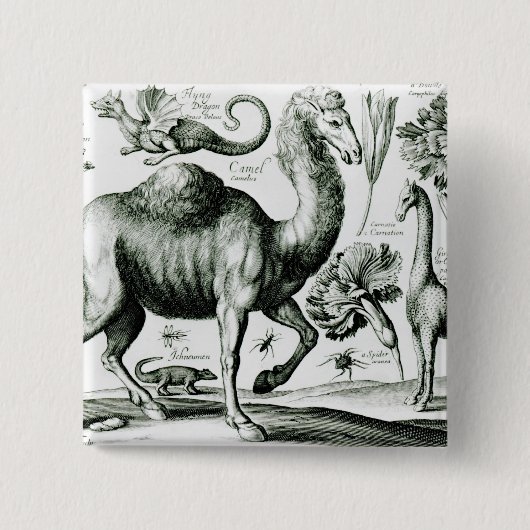 刻まれる動物および花の勉強 缶バッジ (正面)