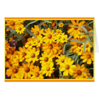 前のフラワー・ショー