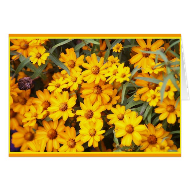 前のフラワー・ショー (正面横)