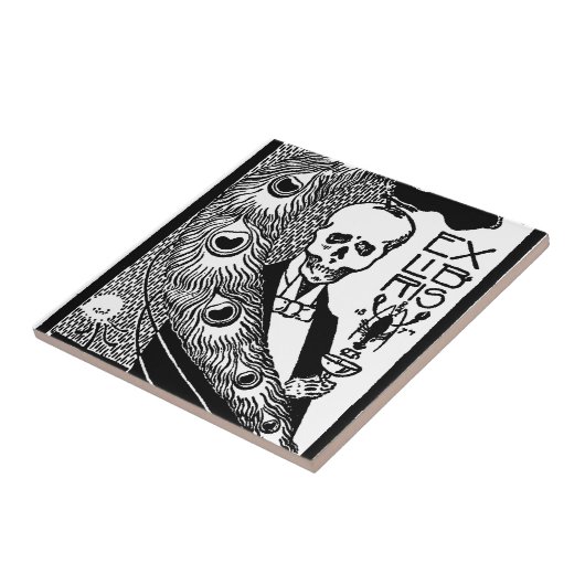 前のLibris タイル (側面)