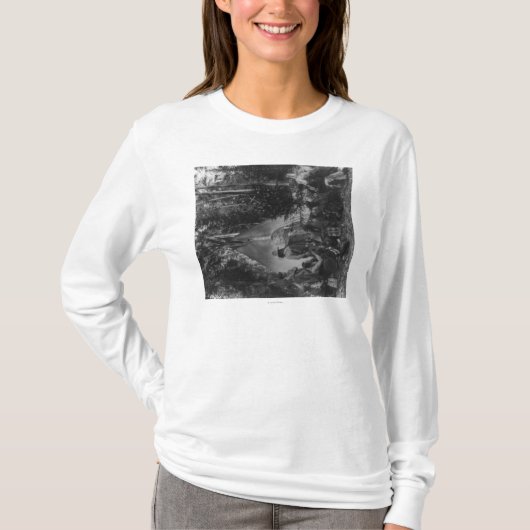 前クリスマスの収集の平頭のインディアン Tシャツ (正面)