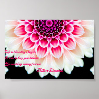 前保方向 ポスター