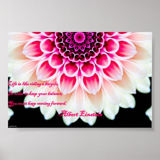 前保方向 ポスター (正面)