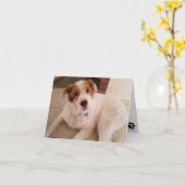 前刷空白の付きノートカードの犬 カード (黄色い花)