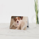 前刷空白の付きノートカードの犬 カード (正面)