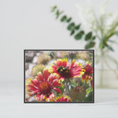 前庭の花に2頭の蜂が生える。 ポストカード (スタンド正面)