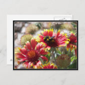 前庭の花に2頭の蜂が生える。 ポストカード (正面/裏面)