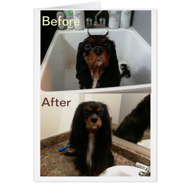 前後に信頼 (正面)