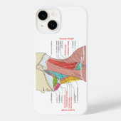 前後三角形の頸部解剖筋 Case-Mate iPhoneケース (裏面)