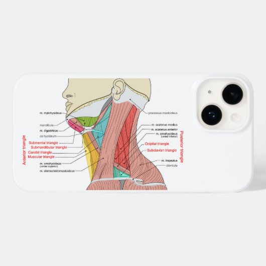 前後三角形の頸部解剖筋 Case-Mate iPhoneケース (裏面 (横))
