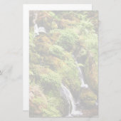 前後 便箋 (正面/裏面)