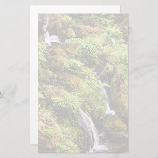 前後 便箋 (正面/裏面)