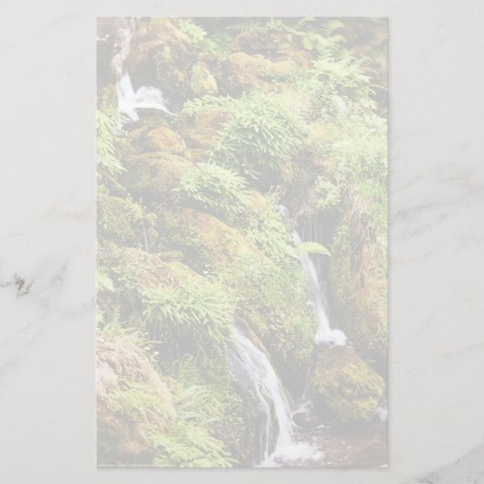 前後 便箋 (正面)