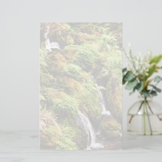 前後 便箋 (スタンド正面)