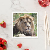前方から見えるライオンのポートレート スタンダードカクテルナプキン (インサイチュ)