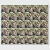 前方から見えるライオンのポートレート ラッピングペーパー (フラット)