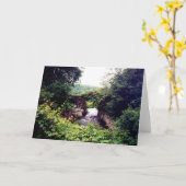 前方にある何が(カード) カード (黄色い花)