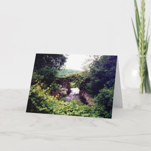 前方にある何が(カード) カード (正面)