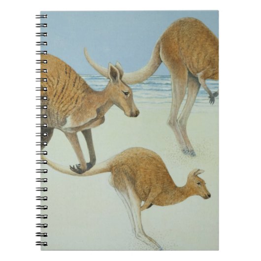 前方に跳躍 ノートブック (正面)