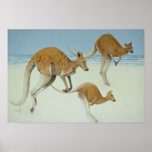 前方に飛び出す ポスター (正面)