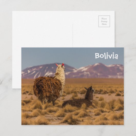 前方を見て ポストカード (正面/裏面)