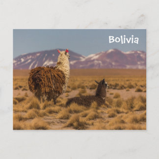 前方を見て ポストカード