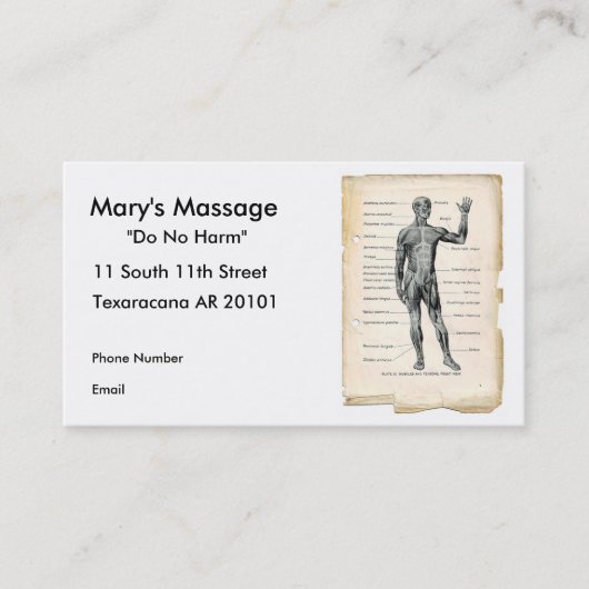 前方解剖学 予約カード (正面)