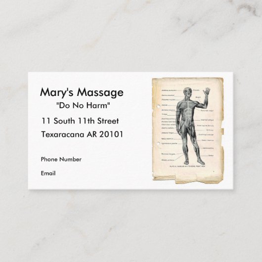 前方解剖学 予約カード (正面)