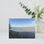 前景に木々のある山の展望パノラマ ポストカード (スタンド正面)