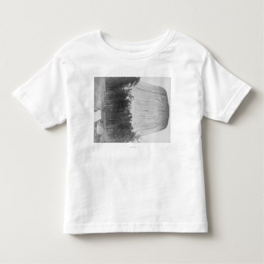 前景の4人が付いている悪魔のタワー トドラーTシャツ (正面)