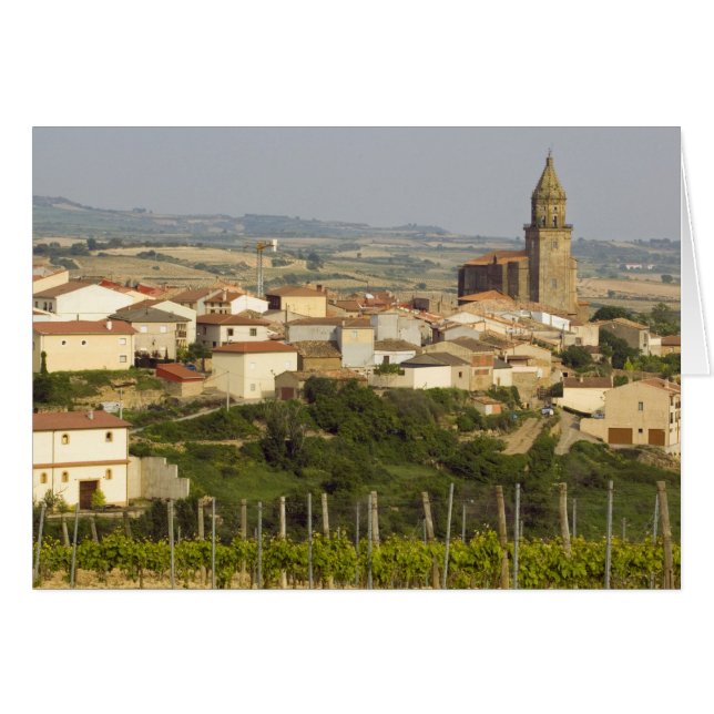 前景フレーム内のつる植物の行 (正面横)