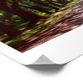 前枝 ポスター (角)