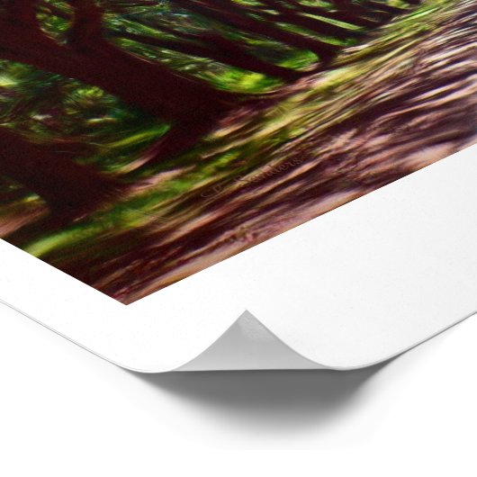 前枝 ポスター (角)