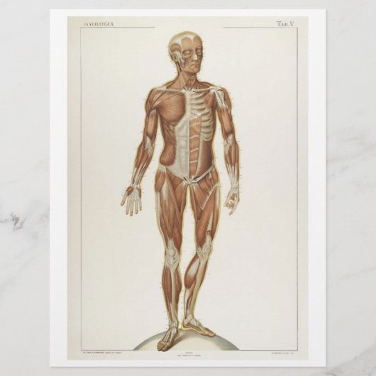 前筋フライヤー チラシ (正面)