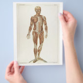 前筋フライヤー チラシ (手)