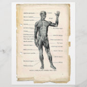 前筋フライヤー チラシ (正面)