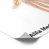 前腕筋前面図 ポスター (角)