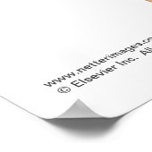 前腹壁筋ポスター ポスター (角)