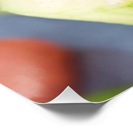 前菜 ポスター (コーナー)