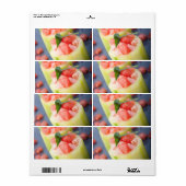 前菜 ラベル (フルシート)