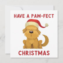 前足のクリスマスを過ごす/かわいい犬のクリスマス